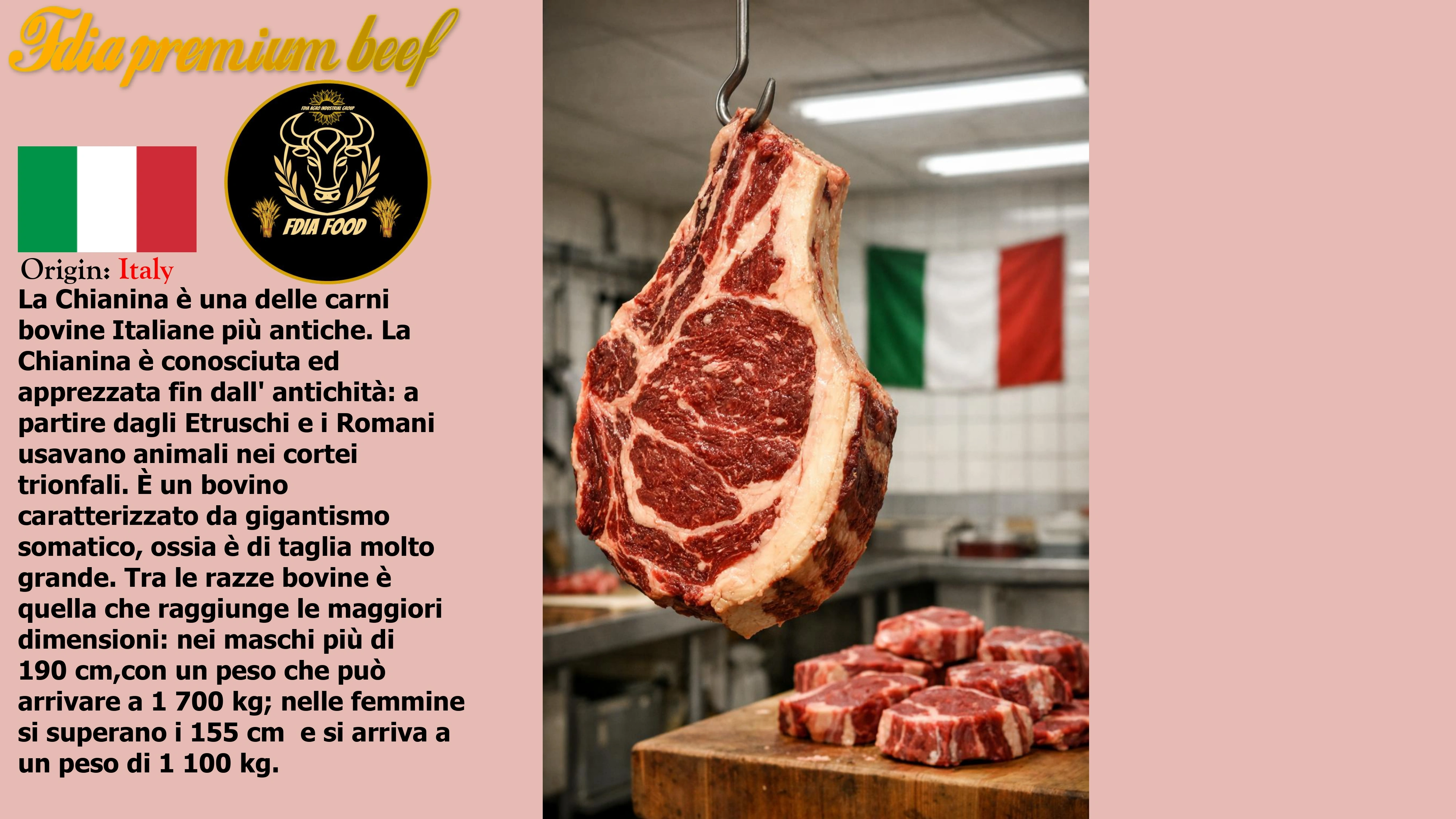 meat (27)